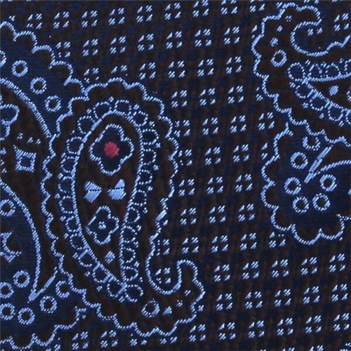 Corbata Estrecha Paisley Celeste y Marrón