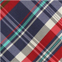 Corbata Estrecha de Cuadros Multicolor