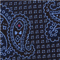 Corbata Estrecha Paisley Celeste y Marrón