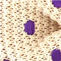 Pajarita Punto Beige Lunares Morados
