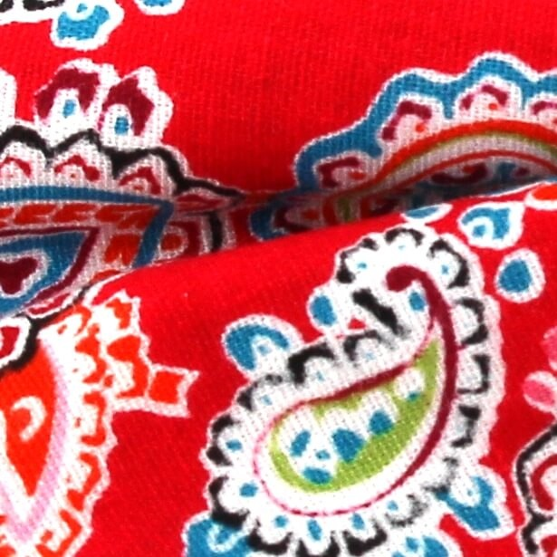 Pajarita Paisley Roja