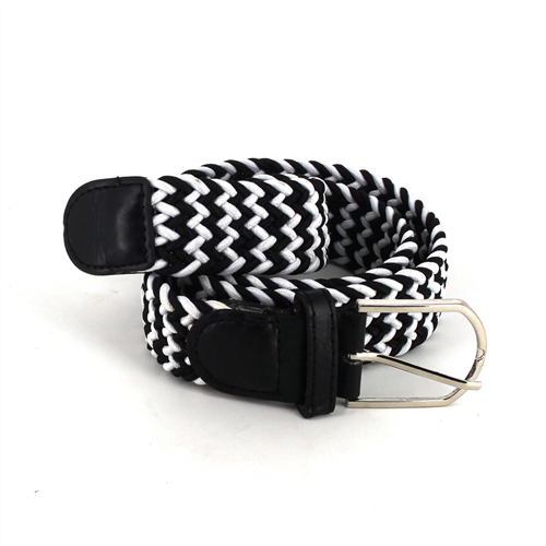 Black and White Elastic Belt II