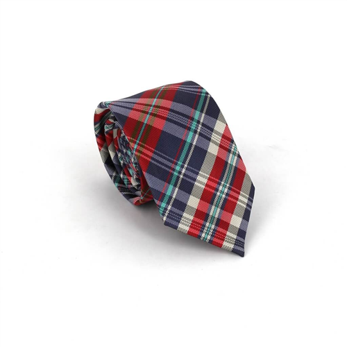Multicolor Check Slim Tie