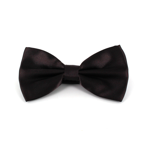 Brown Satin Solid Bow Tie