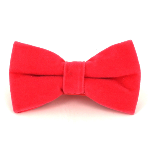 Coral Velvet Solid Bow Tie