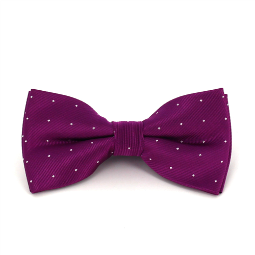 Purple Bow Tie with Shimmering Dots
