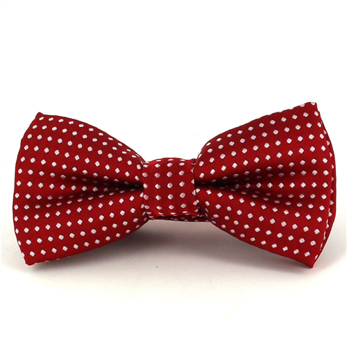 Red Polka Dot Bow Tie for Boys