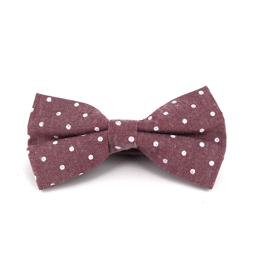 Red Polka Dot Oxford Bow Tie