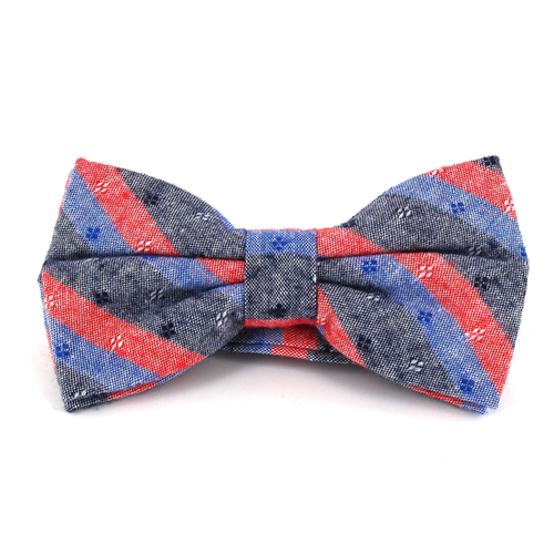 Grey, Red, and Blue Striped Bow Tie