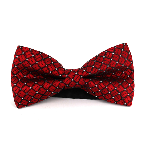 Red Checkered and Dotted Bow Tie