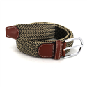 Gold and Black Elastic Belt