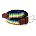 Multicolor Elastic Belt