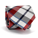 Red Scottish Check Tie II