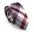 Multicolor Check Slim Tie