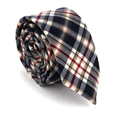 Narrow Multicolor Checkered Tie