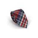 Multicolor Check Slim Tie