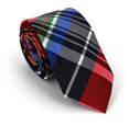 Narrow Multicolor Checkered Tie