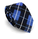 Multicolor Check Slim Tie