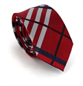 Narrow Multicolor Checkered Tie
