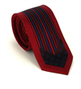Modern Multicolor Slim Tie