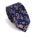Navy Blue Slim Paisley Tie