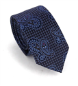 Sky Blue and Brown Narrow Paisley Tie