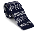 Winter Pattern Blue Knit Tie