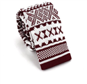 Burgundy Knit Tie with Winter Print