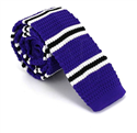 Purple Fine Striped Knit Tie