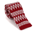 Red Knit Tie with Winter Pattern