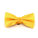 Yellow Bow Tie with Shimmering Dots
