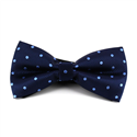 Sky Blue Polka Dot Bow Tie