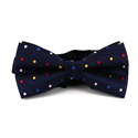 Multicolor Polka Dot Blue Bow Tie