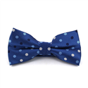 Multicolor Polka Dot Blue Bow Tie