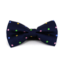 Multicolor Polka Dot Blue Bow Tie