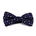 Multicolor Polka Dot Blue Bow Tie