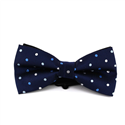 Multicolor Polka Dot Blue Bow Tie