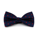 Blue Bow Tie with Red Polka Dots