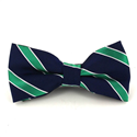 Dark Blue Bow Tie with Green Stripes