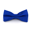 Blue Bow Tie with Shimmering Dots