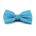 Turquoise Blue Bow Tie with White Dots