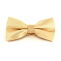 Beige Bow Tie with Shimmering Dots