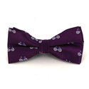 Purple Bicycle Bow Tie