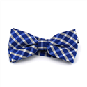 Blue and White Checkered Bow Tie