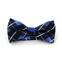 Blue Checkered Bow Tie