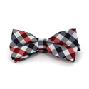 White, Blue, and Red Checkered Bow Tie