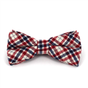 White, Red, and Black Checkered Bow Tie