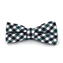 White, Green, and Black Checkered Bow Tie