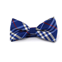 Blue Tartan Bow Tie
