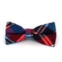 Blue and Red Tartan Bow Tie